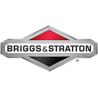 Blocage de l'axe du piston Origine Briggs & Stratton