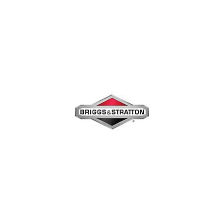 Ecrou de bac de flotteur Origine Briggs & Stratton