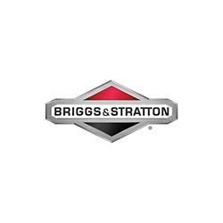 Ecrou de bac de flotteur Origine Briggs & Stratton